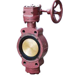 蝸輪船用鑄鐵雙偏心蝶閥