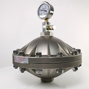 脈沖阻尼器 隔膜式脈沖阻尼器 膜片式脈沖阻尼器 不銹鋼脈沖阻尼