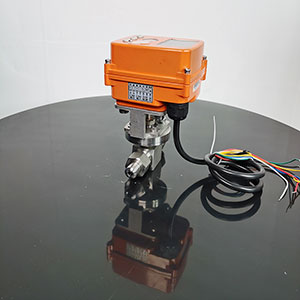 針型調(diào)節(jié)閥-電動針型調(diào)節(jié)閥 LJ993Y