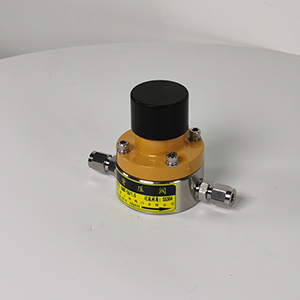 不銹鋼背壓閥 SS304背壓閥 衛生級快裝背壓閥 銹鋼螺紋背壓閥